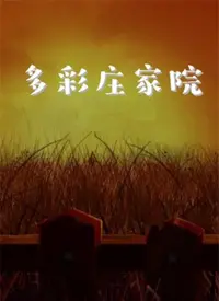 《多彩庄家院》：家长里短里的世故人情，看完让你大呼过瘾的爱情剧！