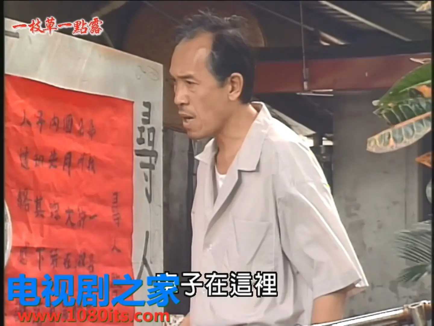 《一枝草一点露》：比《职场剧》更硬核！《励志剧》天花板！看完让你原地满血复活！