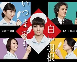 《永远的白羽毛》：这青春剧虐我千百遍，我待它如初恋！
