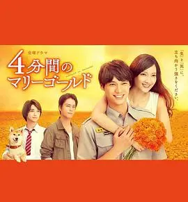 《四分钟的金盏菊》：比DC宇宙还奇幻？这段‘短暂’的爱，美得让人心碎！