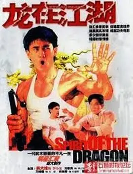《李小龙传》：功夫传奇的史诗陨落，热血与遗憾交织的高能剧情，致敬一代宗师！