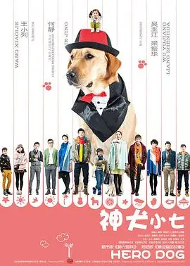 《神犬小七第一季》：萌宠治愈力MAX！比某些喜剧片还能让人开心！