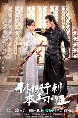《休想行刺本王小姐》：古装剧新玩法？ 饭团影视 诚意之作！